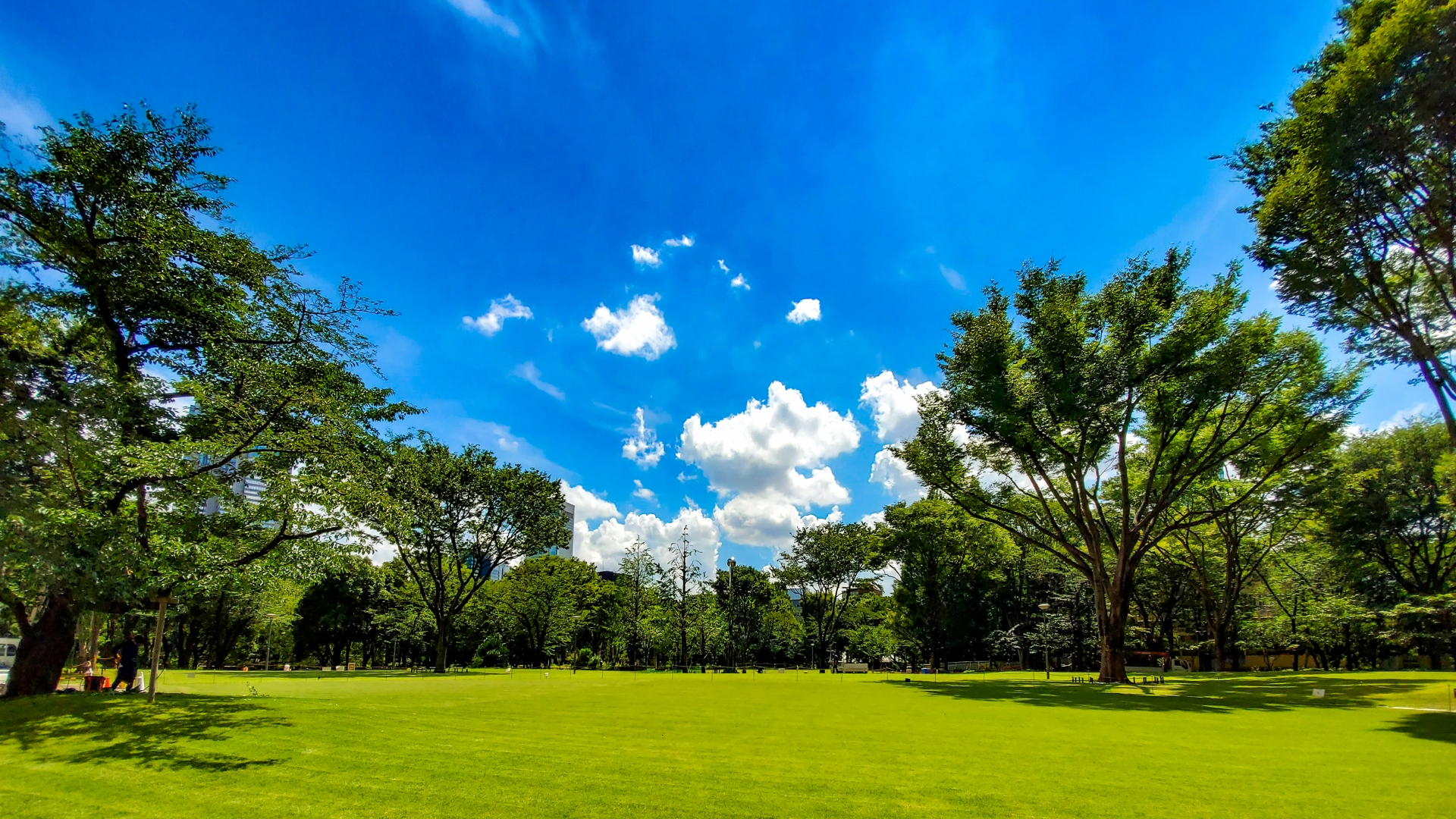 新宿中央公園＿夏