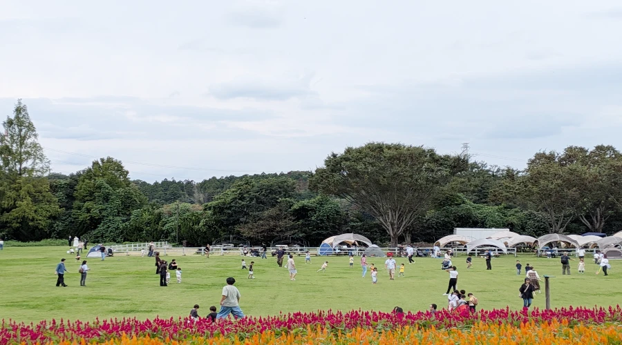 広場